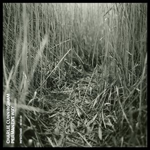 国产精品自在自在久久
