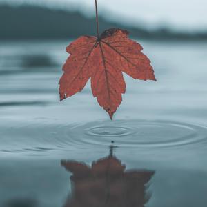 奥大利亚亚性高潮
