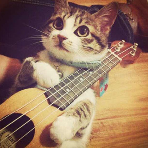 奥大利亚亚性高潮
